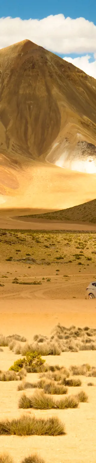 Natur pur im Lauca Nationalpark